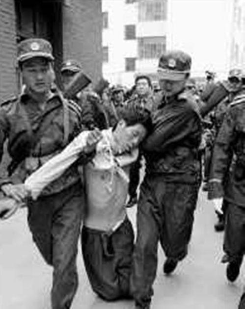 天涯最新爆料坠机案始末,最新坠机案始末，真相令人震惊