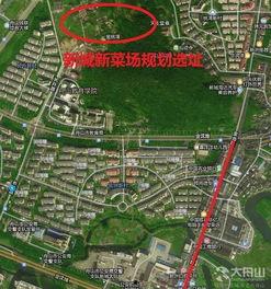 临城爆料最新消息,最新消息揭示惊人真相！